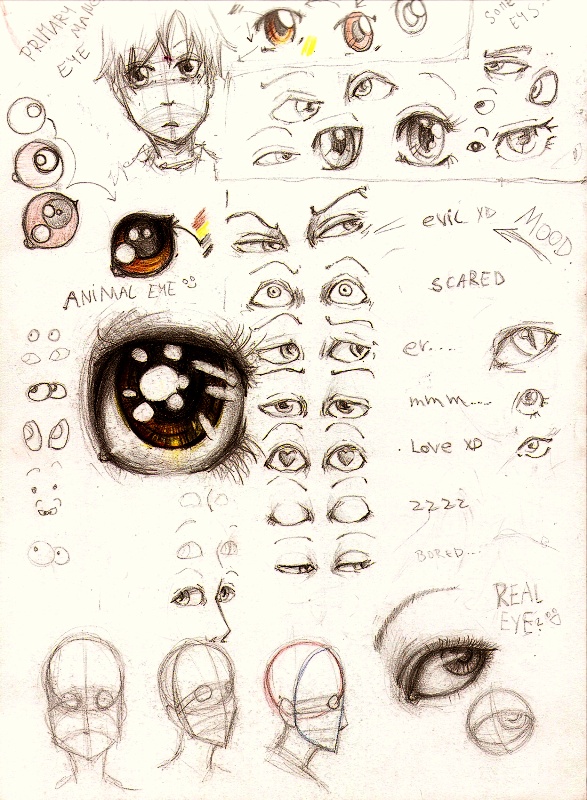 Manga Eye Drawing Reference Guide