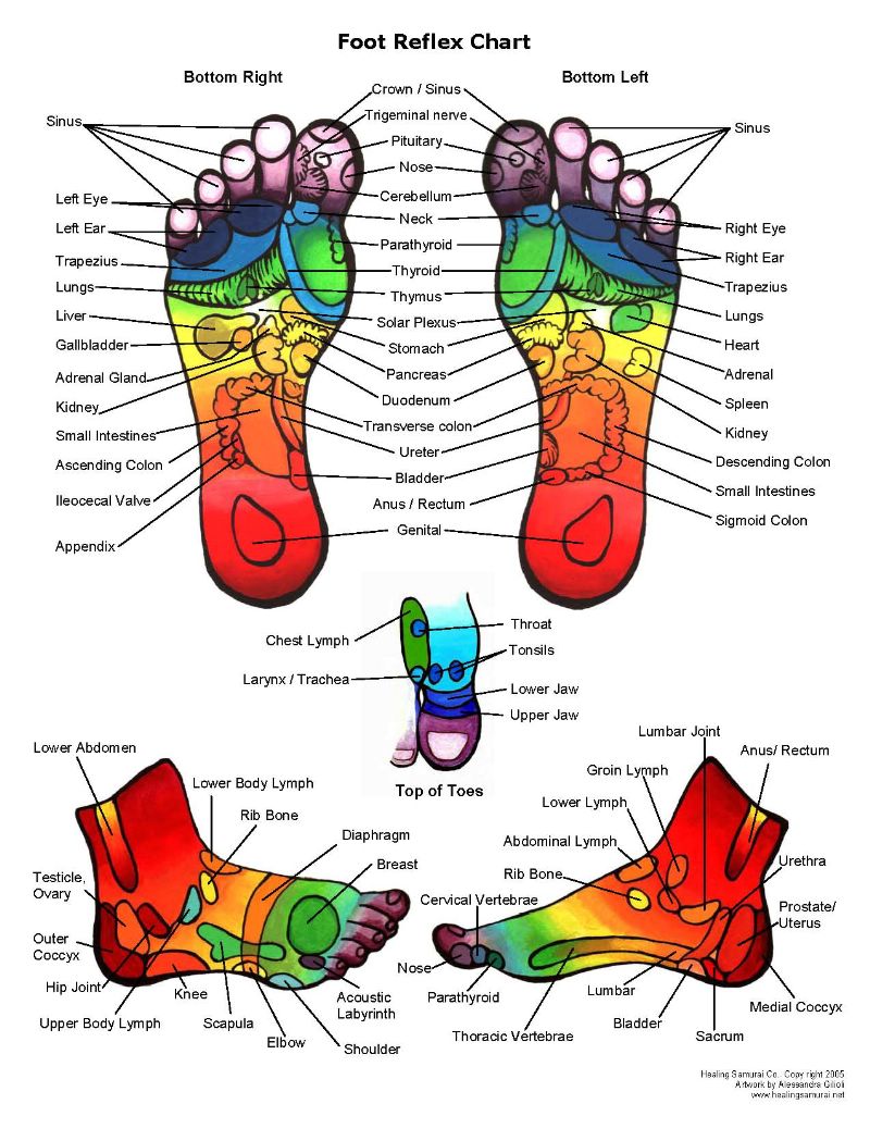 Reflexology Chart Feet Uterus