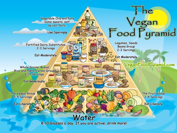 Vegan Food Pyramid  The Vegan Food Pyramid Visualized