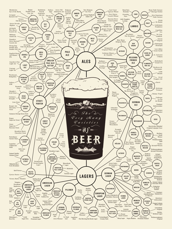 Beer Types  How to Identify Different Beer Types