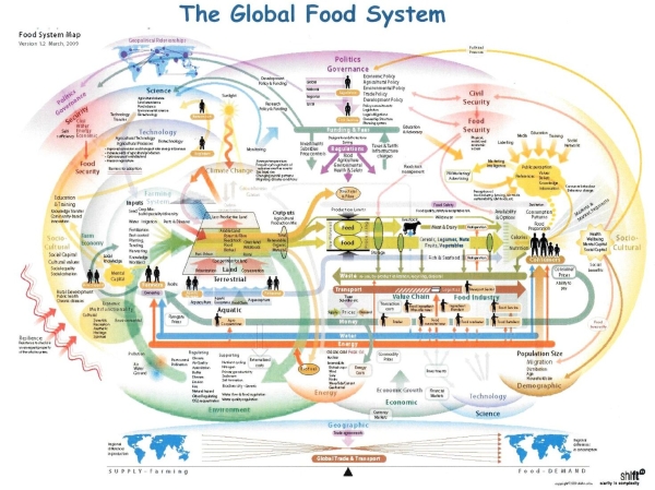 Global Food System  How the Global Food System Works