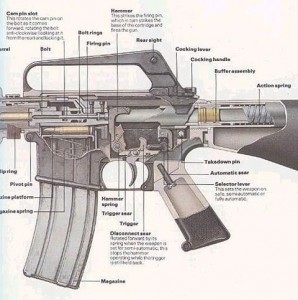 AR Anatomy