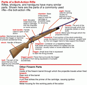 Bolt-Action Rifle