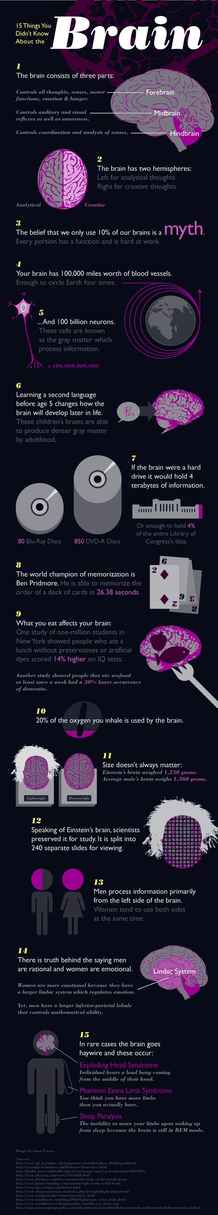 The human mind has the same general structure as the brains of different warm blooded creatures, in any case is greater than whatever viable in connection to figure size. Extensive […]