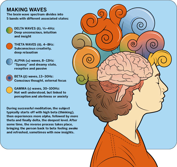 Neural swaying is cadenced or tedious neural movement in the midway apprehensive framework. Neural tissue can create oscillatory action in a significant number of ways, driven either by mechanisms restricted […]