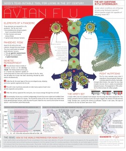 CI Avian Flu