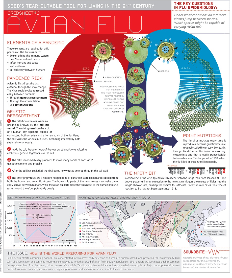 Avian influenza lack the capacity to yet be arranged as a “pandemic”, on account of the virus can’t yet create upheld and proficient human-to-human transmission. Cases so far are distinguished […]