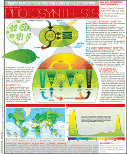 CI Photosynthesis