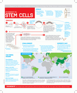 CI Stem Cells
