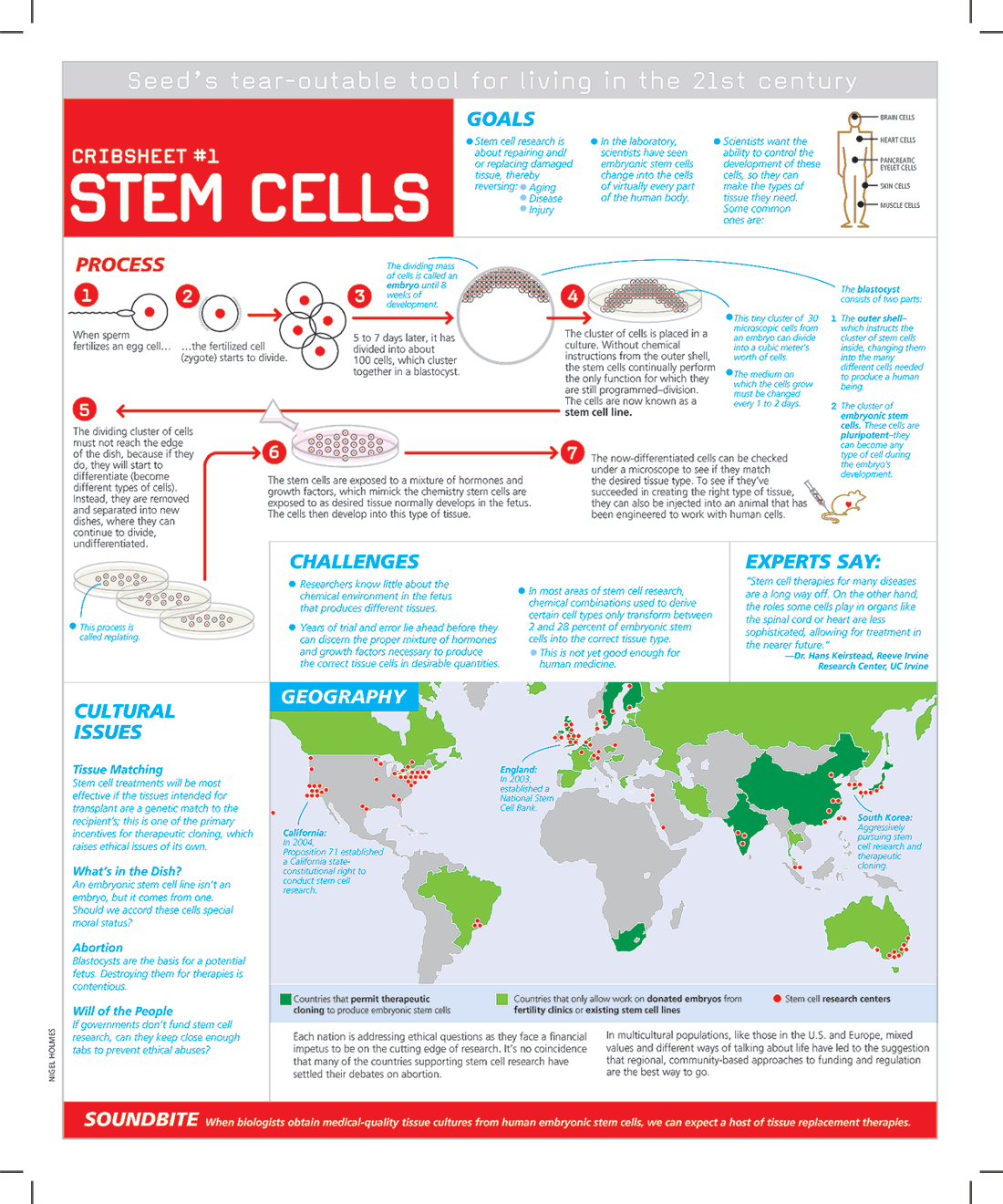 Stem cells are existing units came across in all multicellular essence structures, that can hole (through mitosis) and differentiate into distinctive intentional unit sorts and can self-restore to process more […]