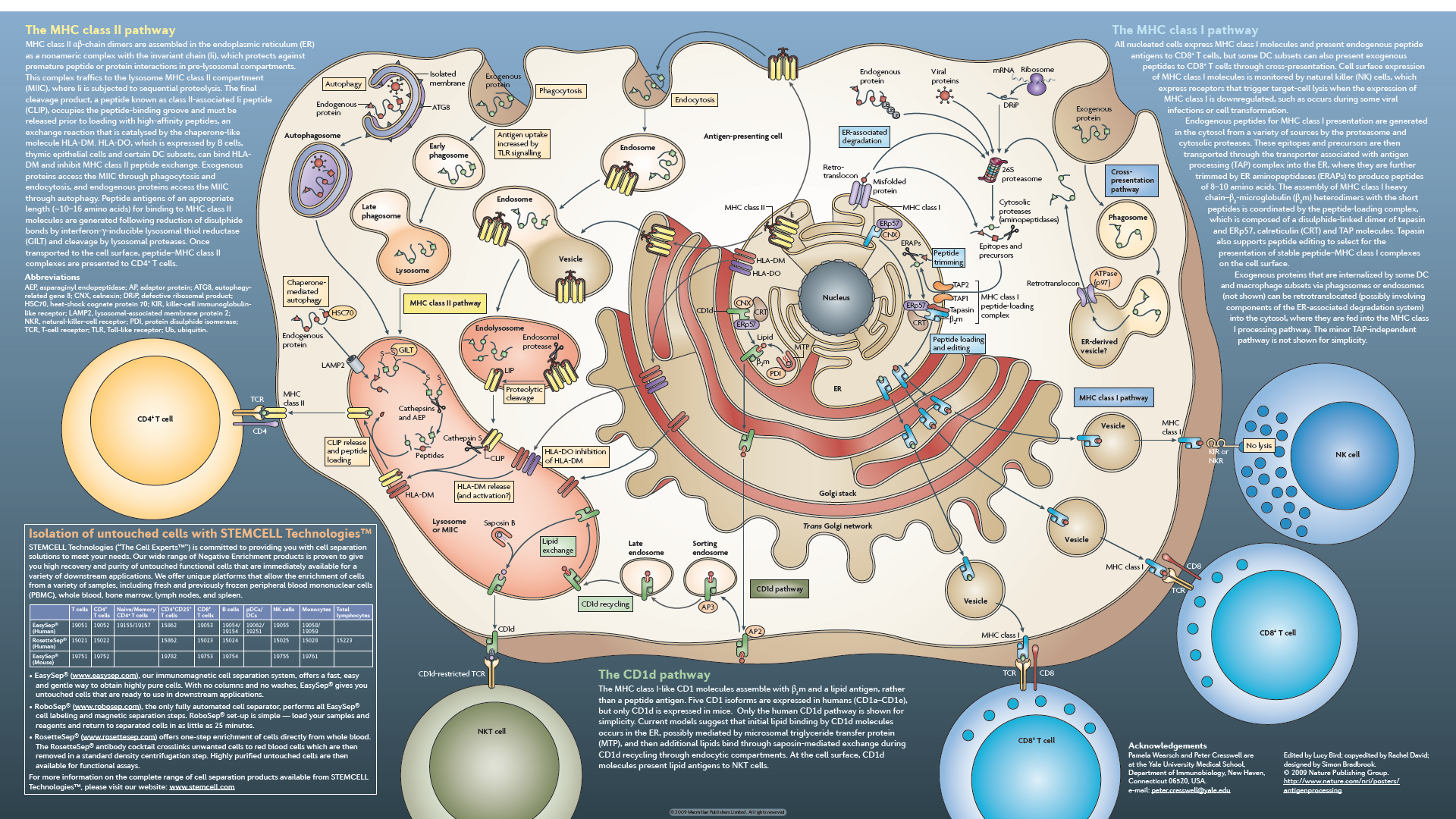 Molecular anatomy is the examination of the sub-atomic updates of units, tissues, and organs in an advancing incipient organism. With this informative content, it is conceivable to confirm potential actions […]