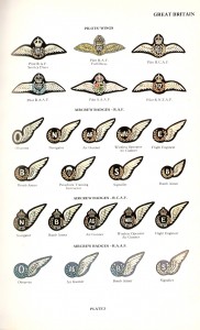 Commonwealth Air Force Wings