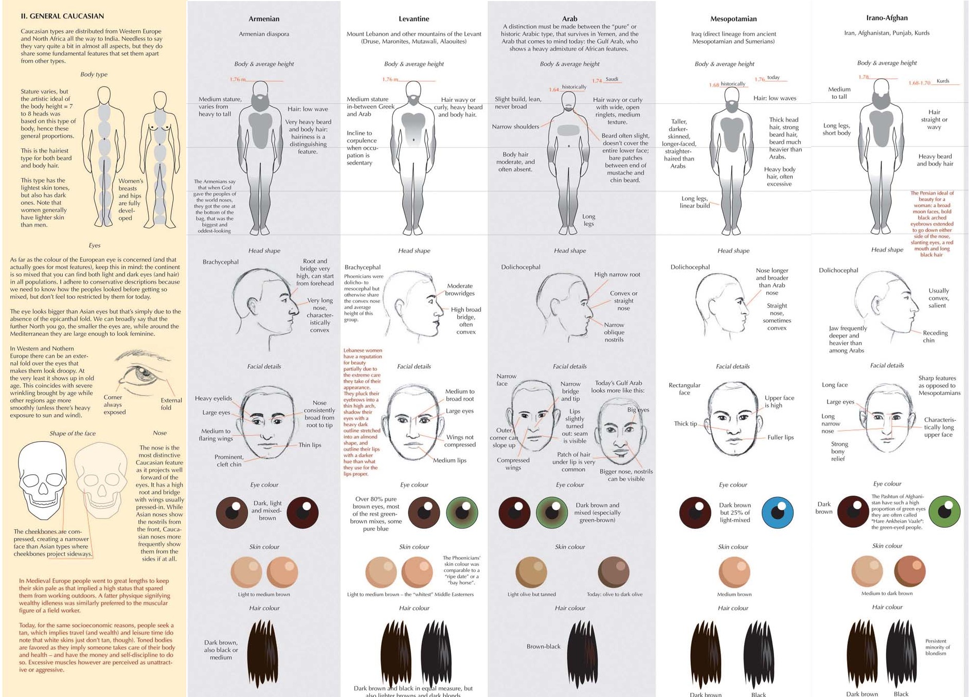 Learn how to draw a caucasians people, from general caucasians, Armanean, levantine, arab, mesopotamian and irano-afghan.