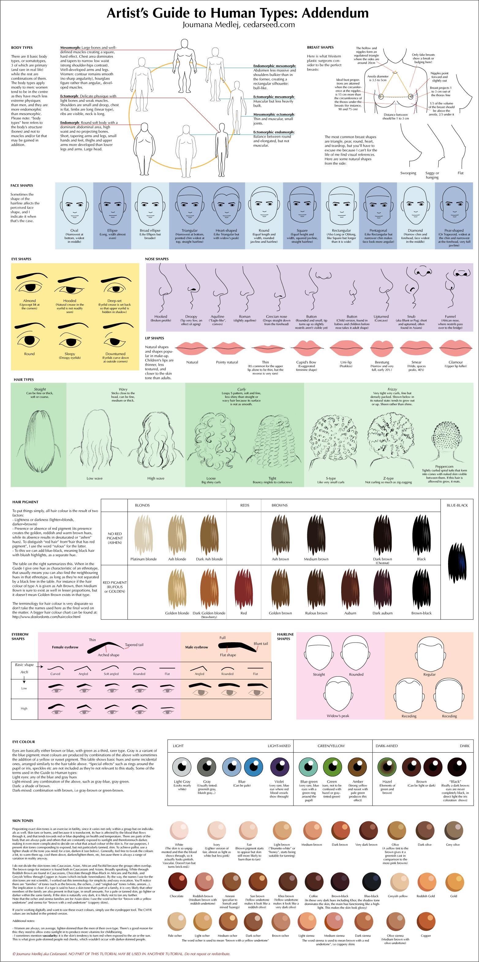 Artist guides to human type. You can draw them by their body types, breast, face shapes, eye shapes, nose shapes,lip shapes, hair type, hair pigment, their eyebrow shapes, eye colour […]