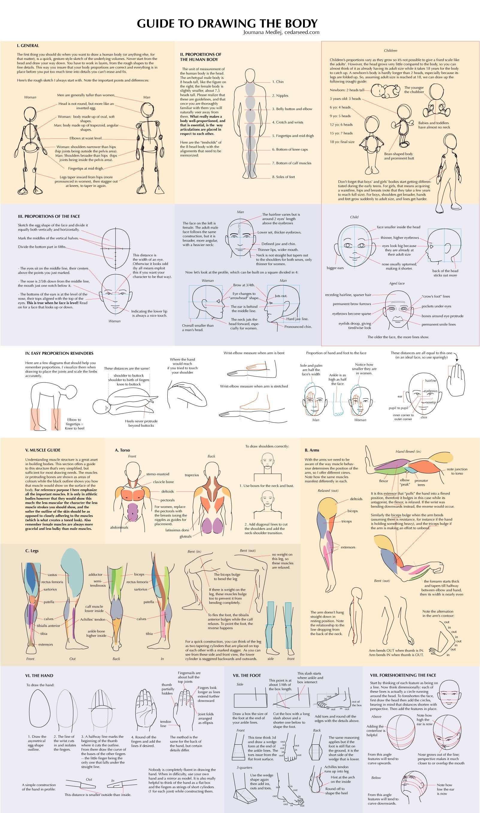 Drawing a human body needs guide specially for the beginners. You need to know the proportion of the human body, proportion of the face and its easy reminders for you […]