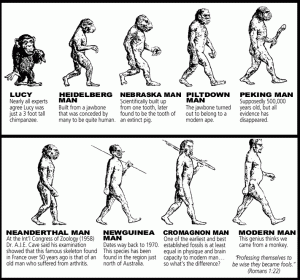 Evolution Facts & Mistakes