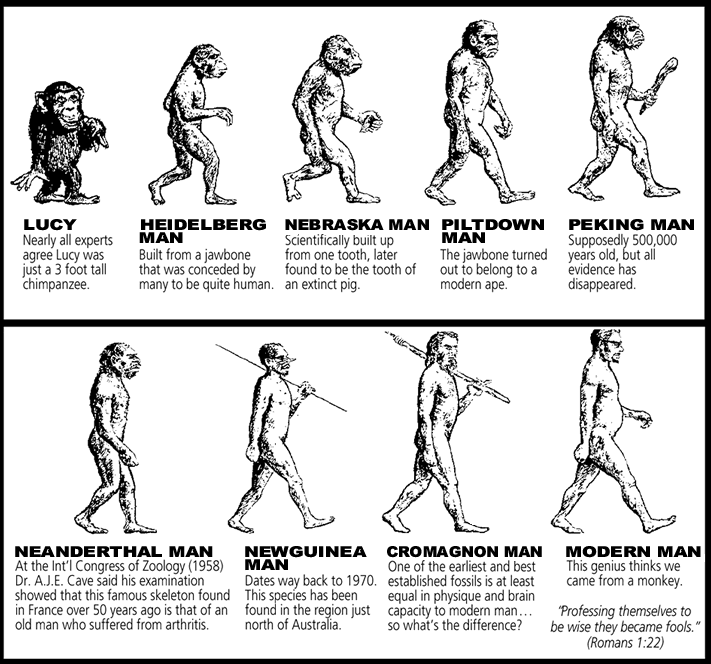 DNA holds the hereditary qualified data that permits all current living things to method, develop and imitate. Notwithstanding, its indistinct to what extent in the 4-billion-year history of existence DNA […]