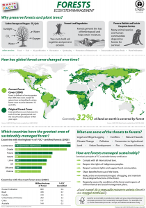 Forest Facts