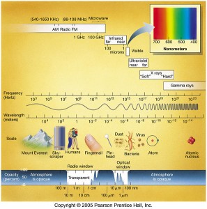 Frequency  Wave Length