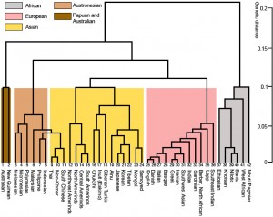 Genetic Families