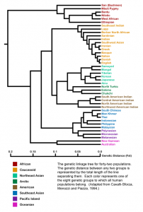 Genetic Families A