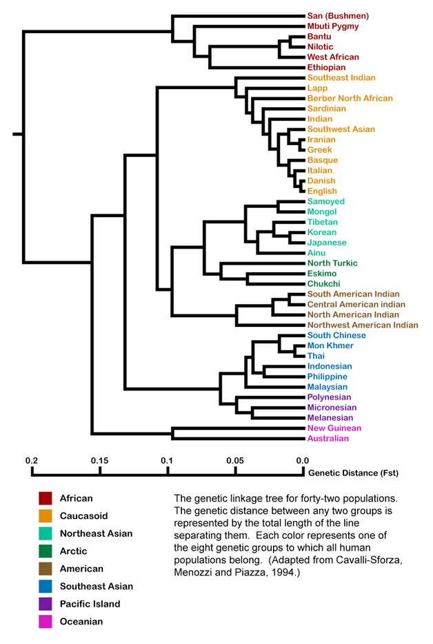 Genetics , a control of biology, is the investigation of genes, heredity, and change in living creatures. Heredity bargains with the sub-atomic structure and capacity of genes, gene conduct in […]