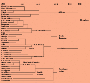 Genetic Families B