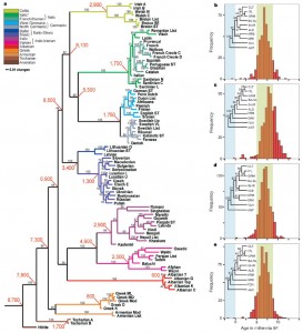 Genetic Families C