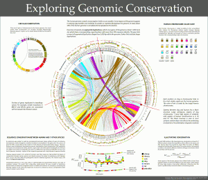 Genome Preservation
