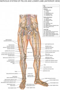 HB Spinal System B