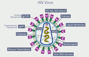HIV Viron