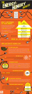 Household Electric Use