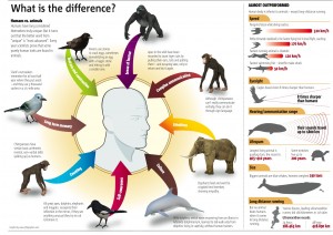 Humans & Animals