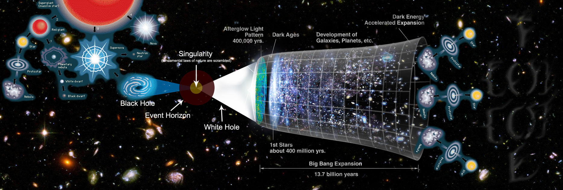 Visible light is electromagnetic radiation that is noticeable to the human eye, and is answerable for the feeling about sight. Obvious light has a wavelength in the reach of in […]