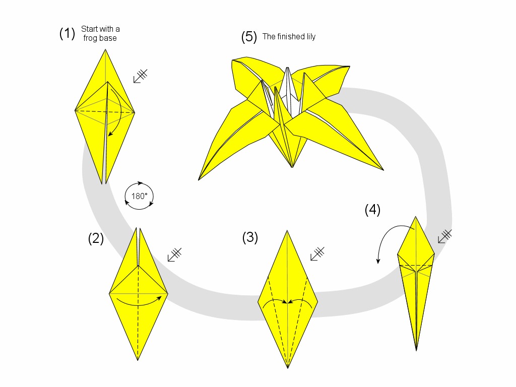 Simple 1-5 steps on how to make a lily from a paper  