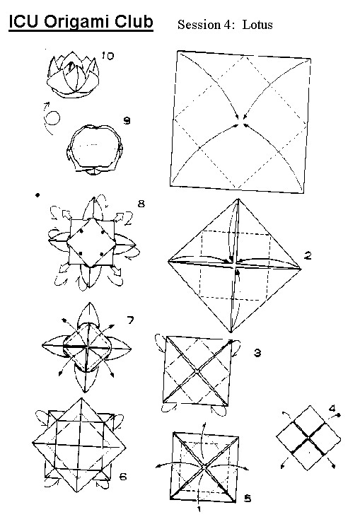 Creating is fun to do, try this simple easy step on how to create a lotus.