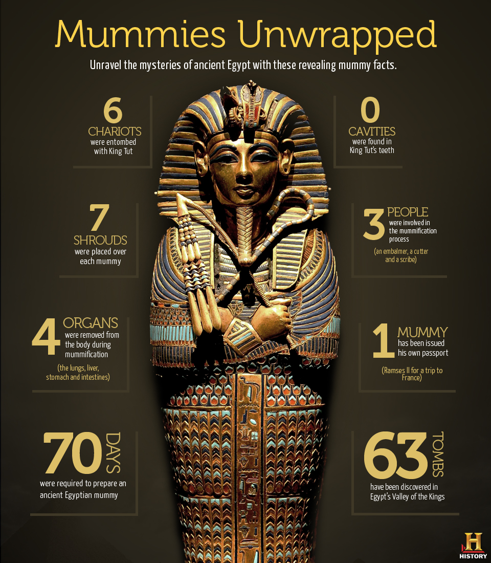 A percentage of the best-protected characteristic mummies date from the Inca period in Peru and Chile nearly 500 years back, where youngsters were customarily relinquished on the summits of mountains […]