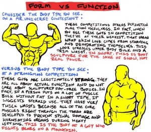 Muscle Form vs Function