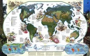NG Diversity of Life