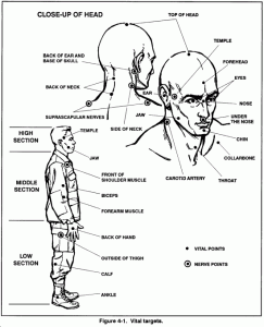 Nerve Points