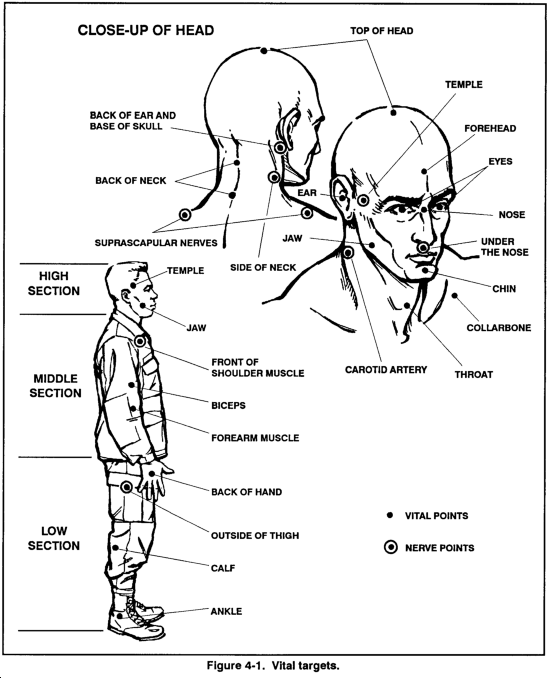 The High Section of the Nerve points consists of the Jaw, the Front of Shoulder Muscle and the middle section contains the Biceps the Forearm Muscle and the Back of […]