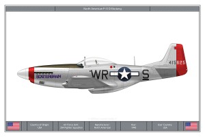 P-51D Mustang (2)