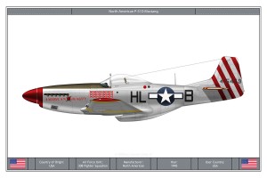 P-51D Mustang (3)