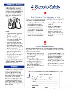 PS Family Disaster Plan (2)