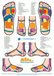 Reflexology Chart