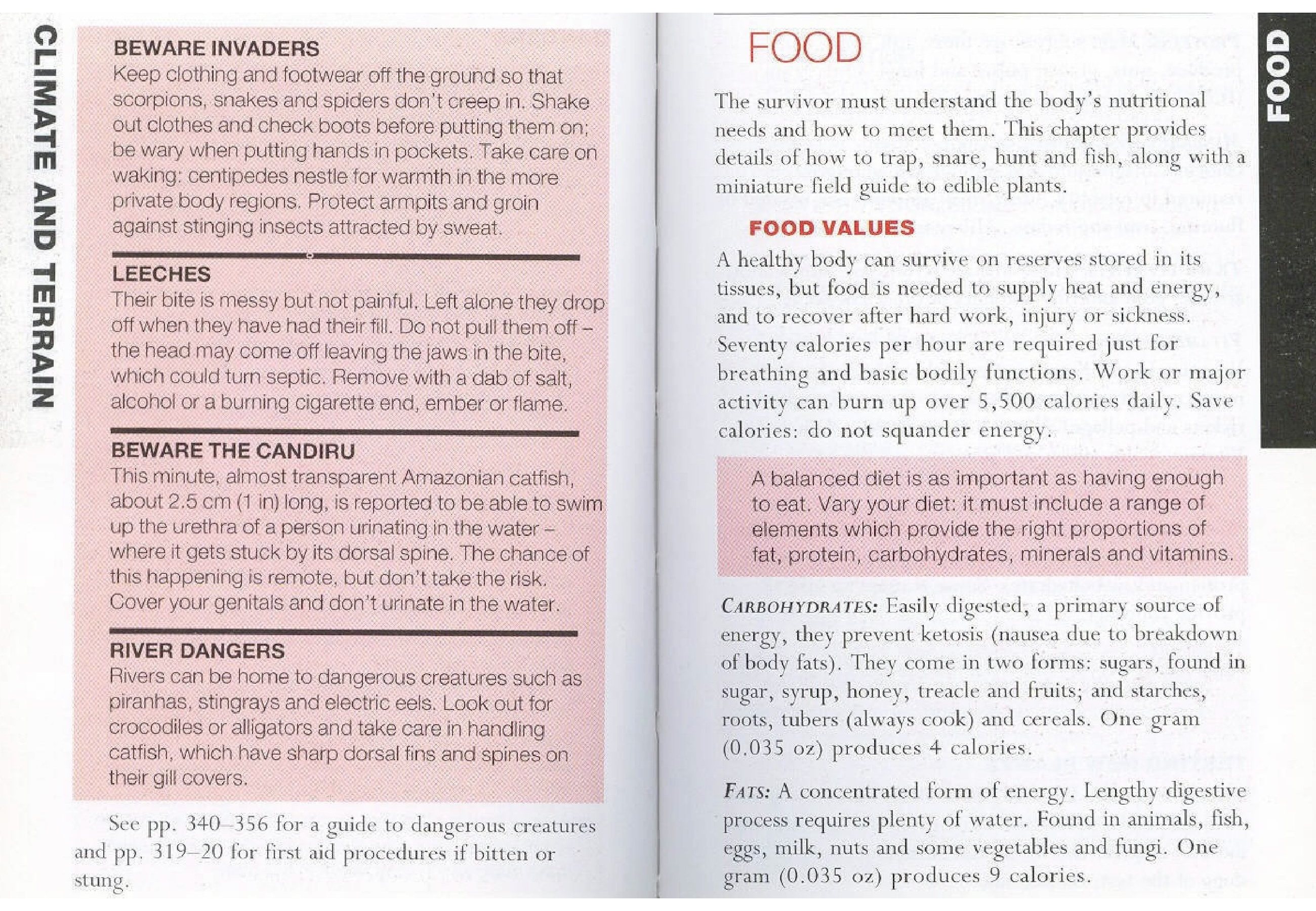 A healthy body can survive on reserves stored in its tissues, but food is needed to supply heat and energy, and to recover after hard work, injury or sickness. Seventy […]