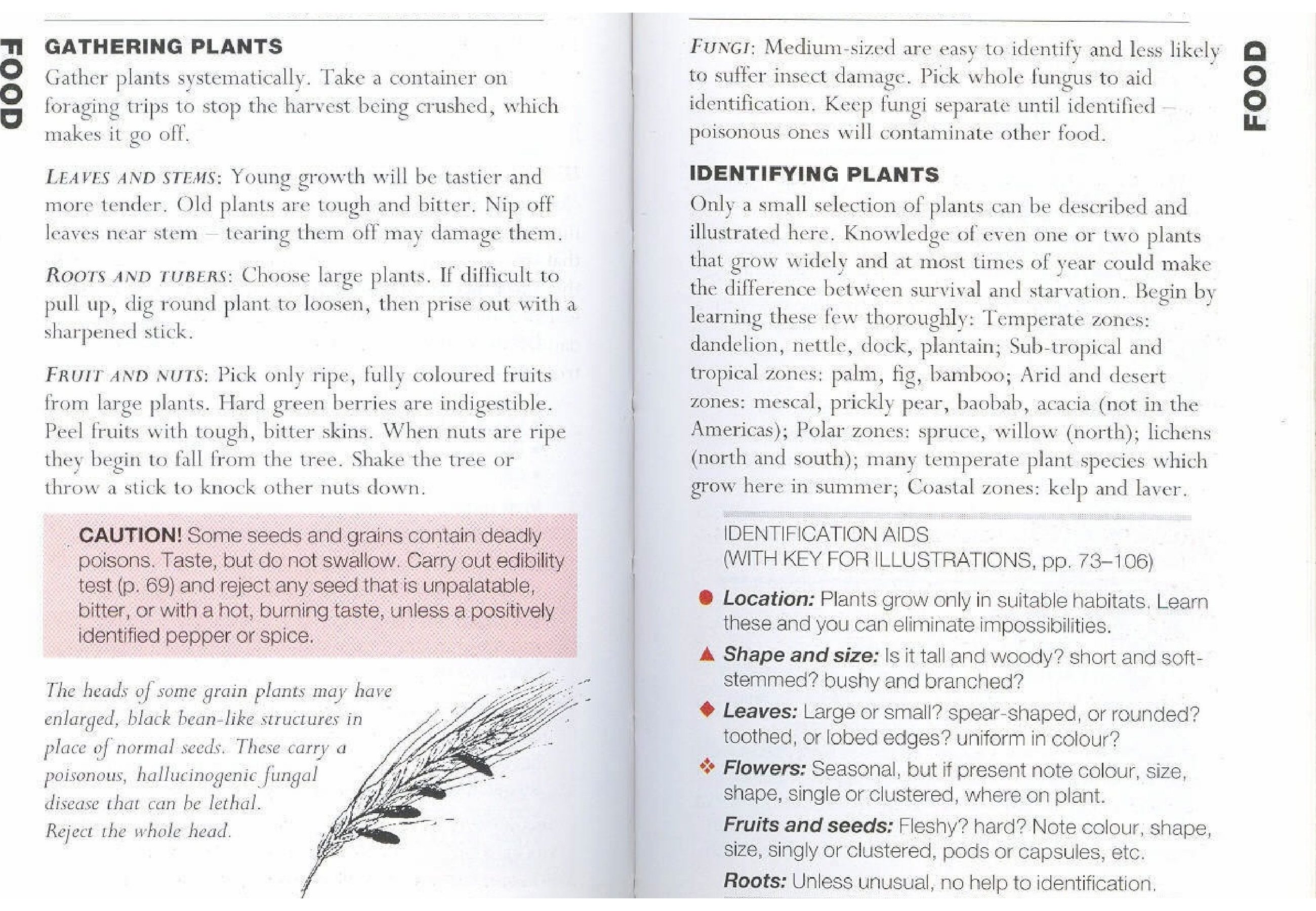 Gathering plants is one of the tedious tasks to identify place for food. Gather plants systematically. Take a container on foraging trips to stp the harvest being crushed, which makes […]