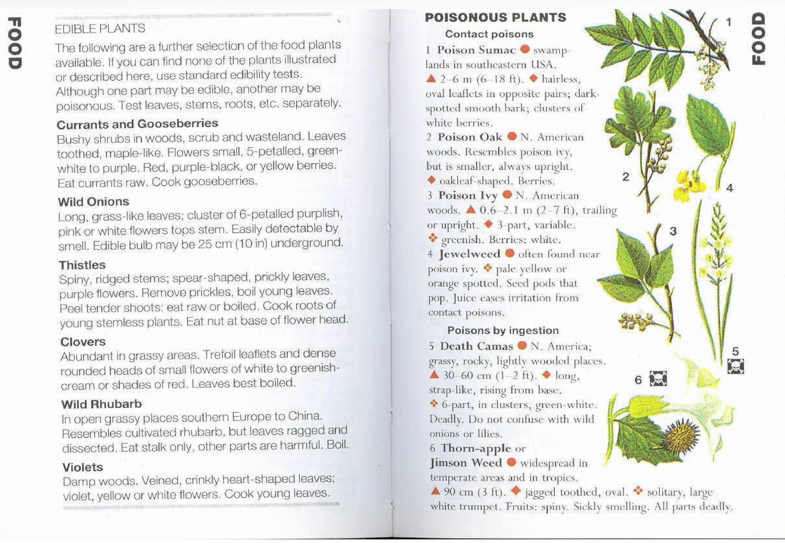 Some poisonous plants are easy to mistake for edible species. Do not take risks: identify carefully. Learn to recognise the following in addition to those illustrated: The ButterCups, Lupins, Vetches […]