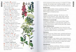 SAS 037 - Edible Plants