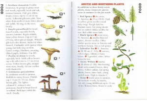 SAS 041 - Fungi & Arctic Plants